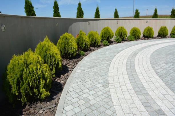 Reasons to Select Us for Your Driveway Paving Requirements in Del Aire, CA